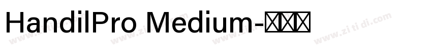 HandilPro Medium字体转换